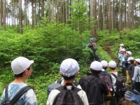 きどころさんによる植物の説明