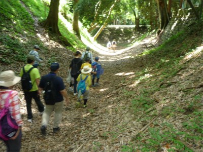 P1000176.jpg