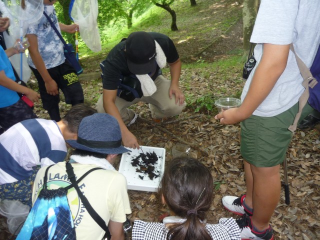 P1000277中身の確認.JPG