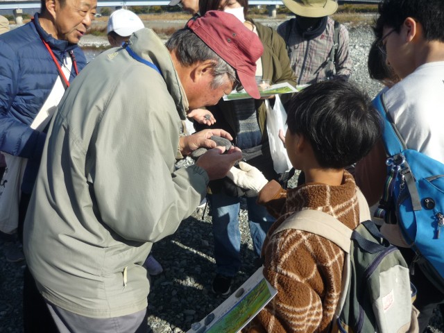 この石なんですか512