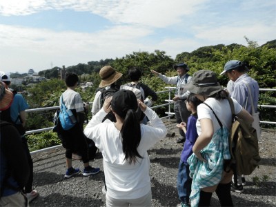 小田原城3619.jpg