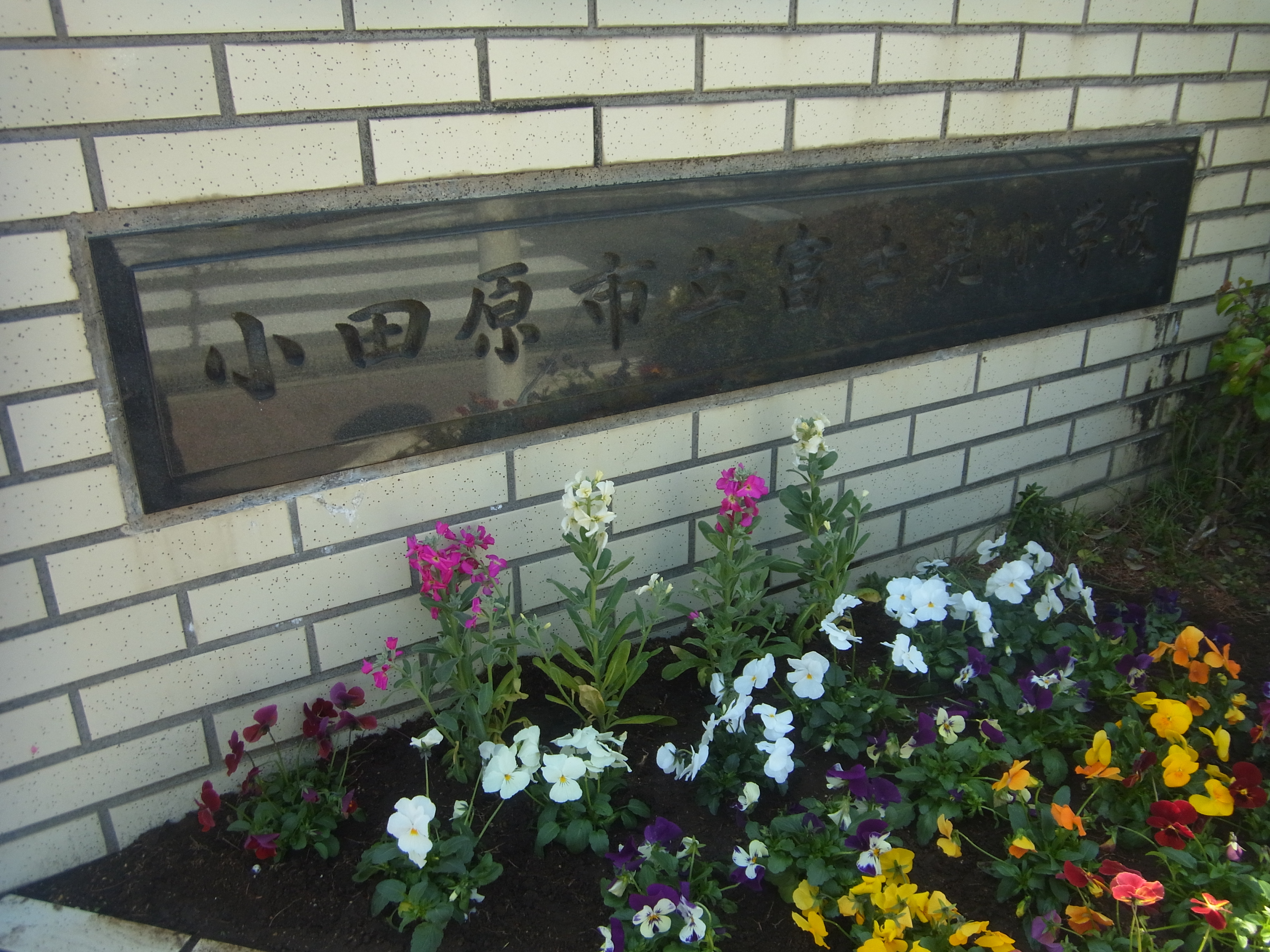 RIMG0032.JPG