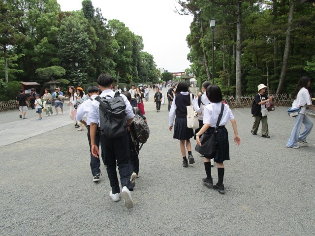 鶴岡八幡宮を散策中です。