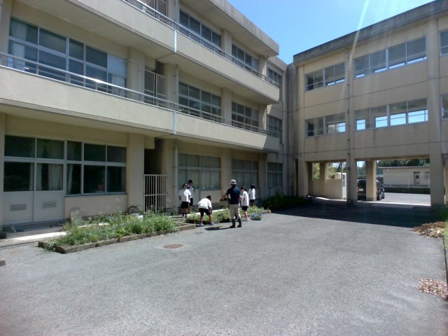 7,8,9,10組農園作業