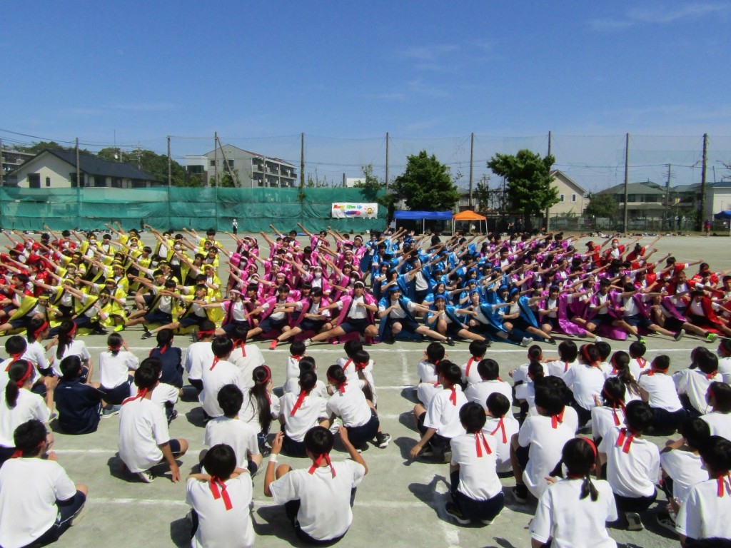 IMG_1235 (1).jpeg