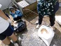 米ぬかを入れて混ぜる