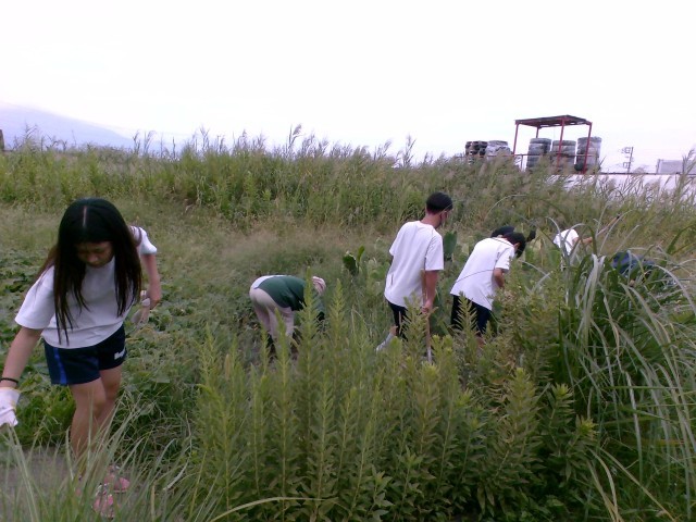 Before
