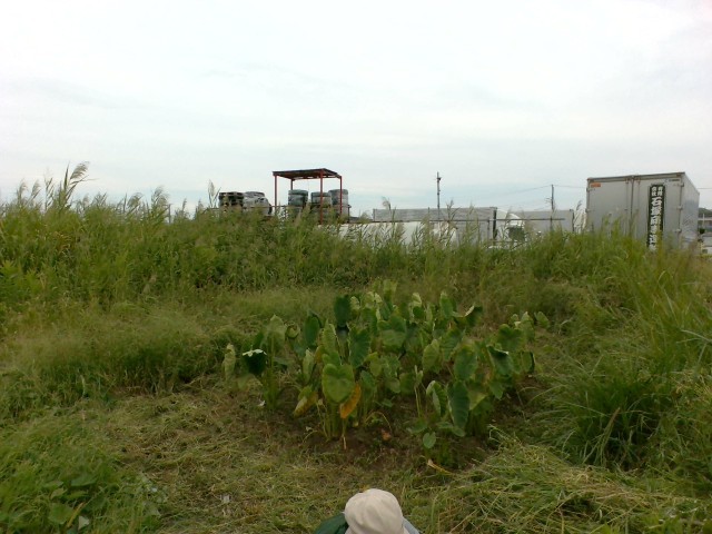 After