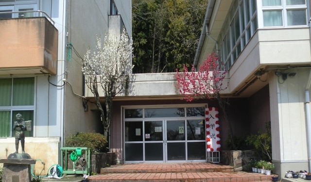 体育館出入口の花桃