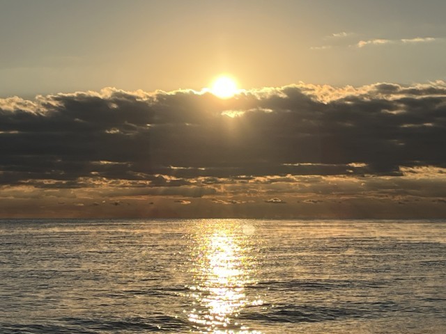 今年の初日の出は雲の上から…