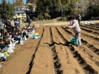 ジャガイモ2_IMG_3933.jpg