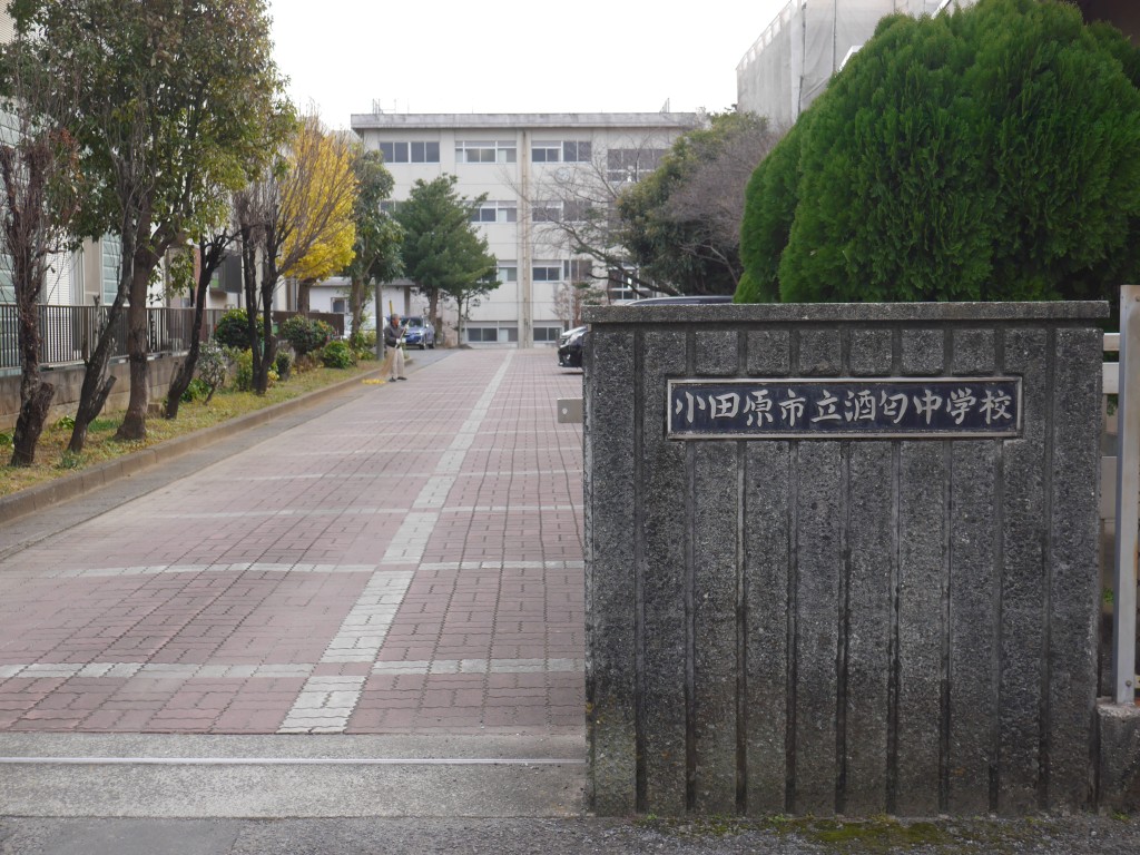 P1310622.JPG
