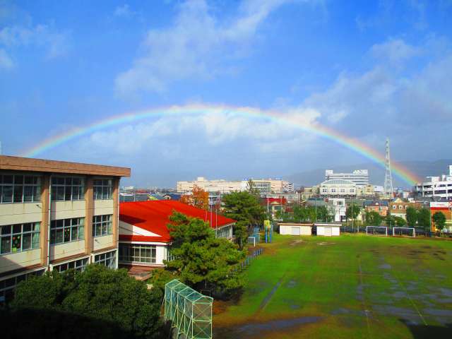 rainbow