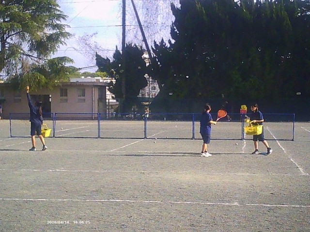 ソフトテニス部