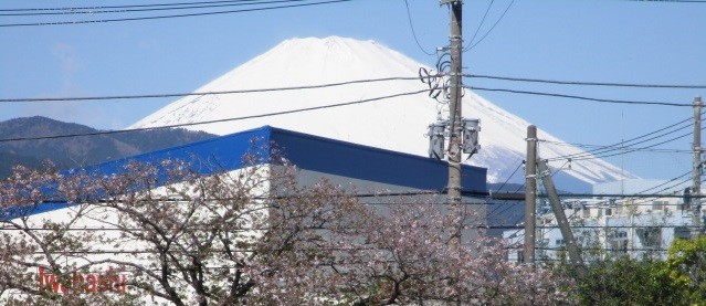 富士山.jpg